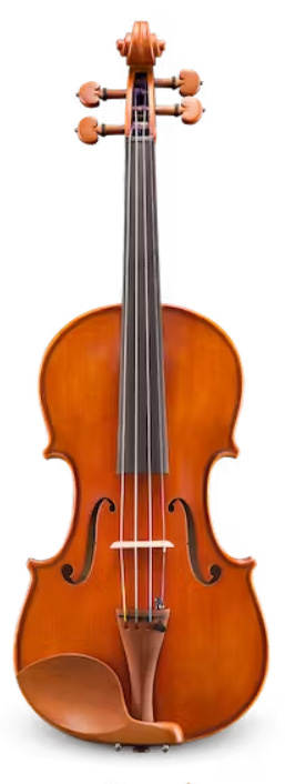 Viola